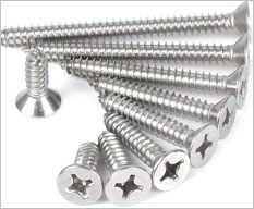 Screw Screw